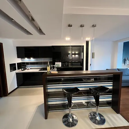 Modern Space & Garden *